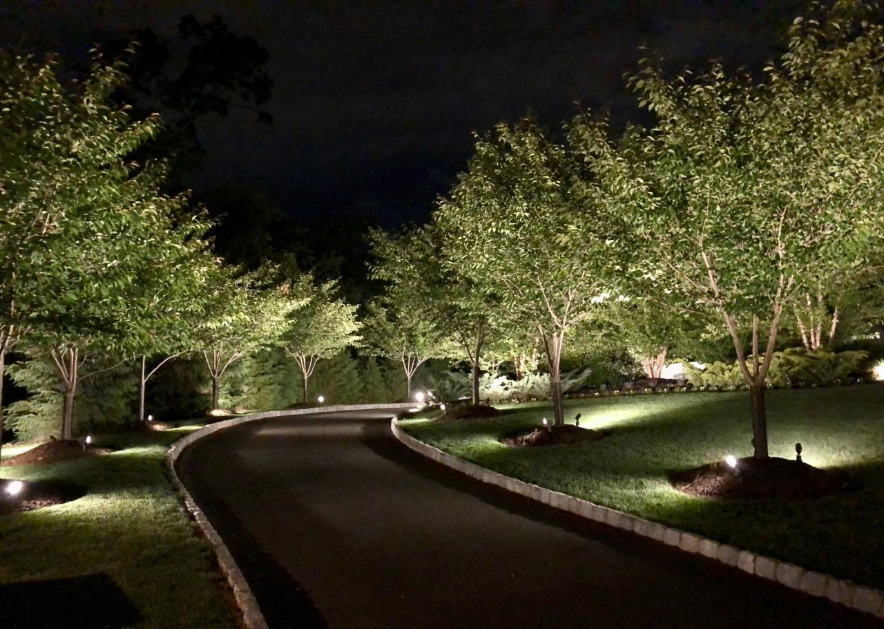 Crafting Nightscapes: Your Guide to a Landscape Lighting Designer