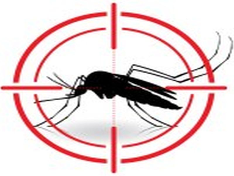 Sydney Pest Control: Identifying and Eliminating Spider Harborages
