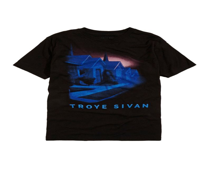 A Closer Look at Troye Sivan's Official Merch: Quality, Style, and Exclusivity